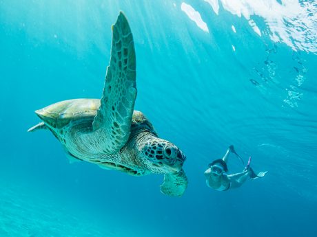 1348_615_15